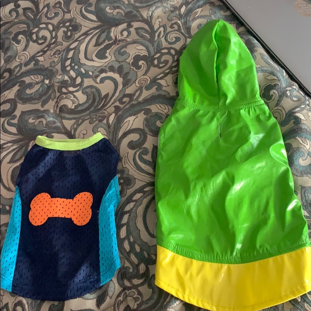 dog jersey and rain jacket